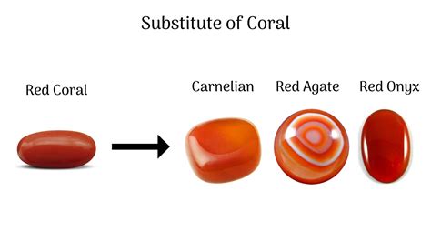  カーネリアンコラル：宝石のように輝くサンゴの仲間、一体どんな生き物？